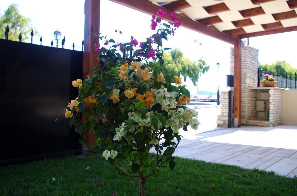 Amaryllis Holiday Home Agios Spyridon  Экстерьер фото